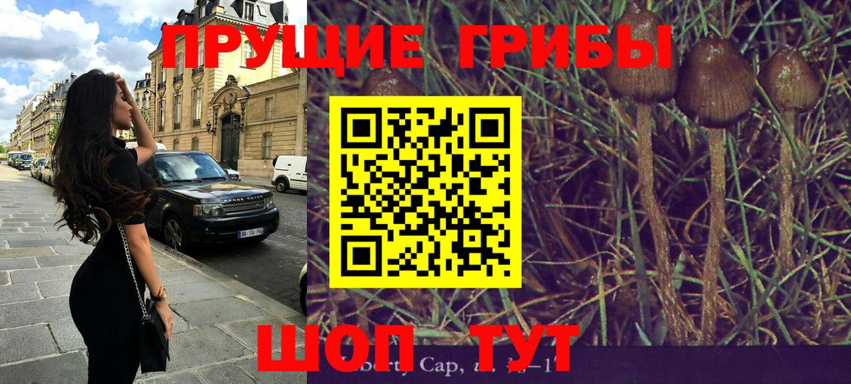 Галлюциногенные грибы Cubensis  Вход с VPN  где купить наркотик  Муром  Галлюциногенные грибы Psilocybe 
